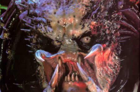 Predator